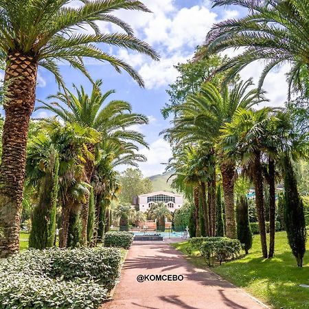 Appartement T1 Bis Avec Jardin Prive Et Piscine, 4 Pers, Cambo-Les-Bains - Fr-1-495-13 エクステリア 写真